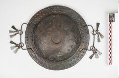 Foto von Bronzebreitrandschale (NHMW-PRAE-025260)